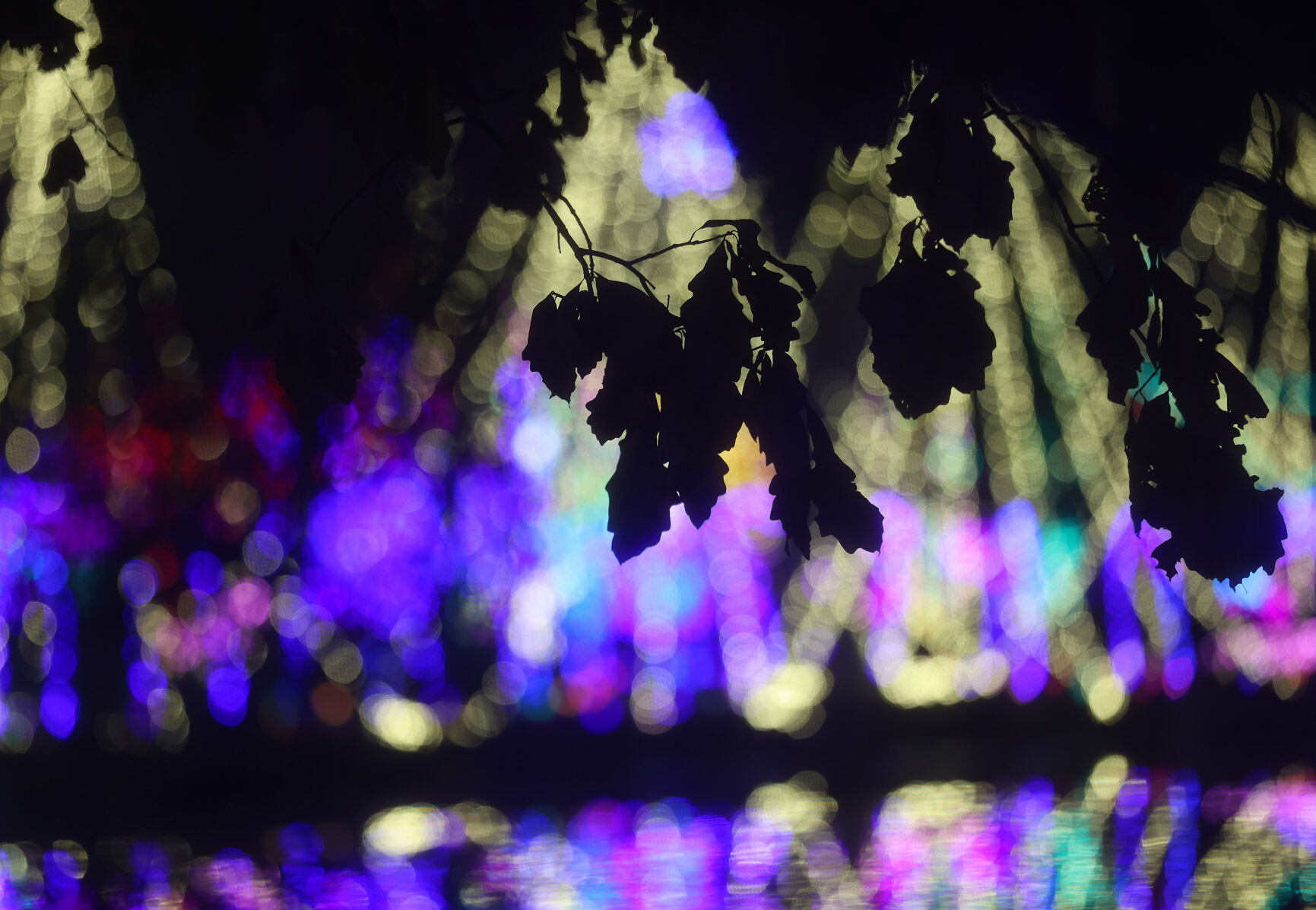 SOWI_231124_JVG_LIGHTS22.JPG